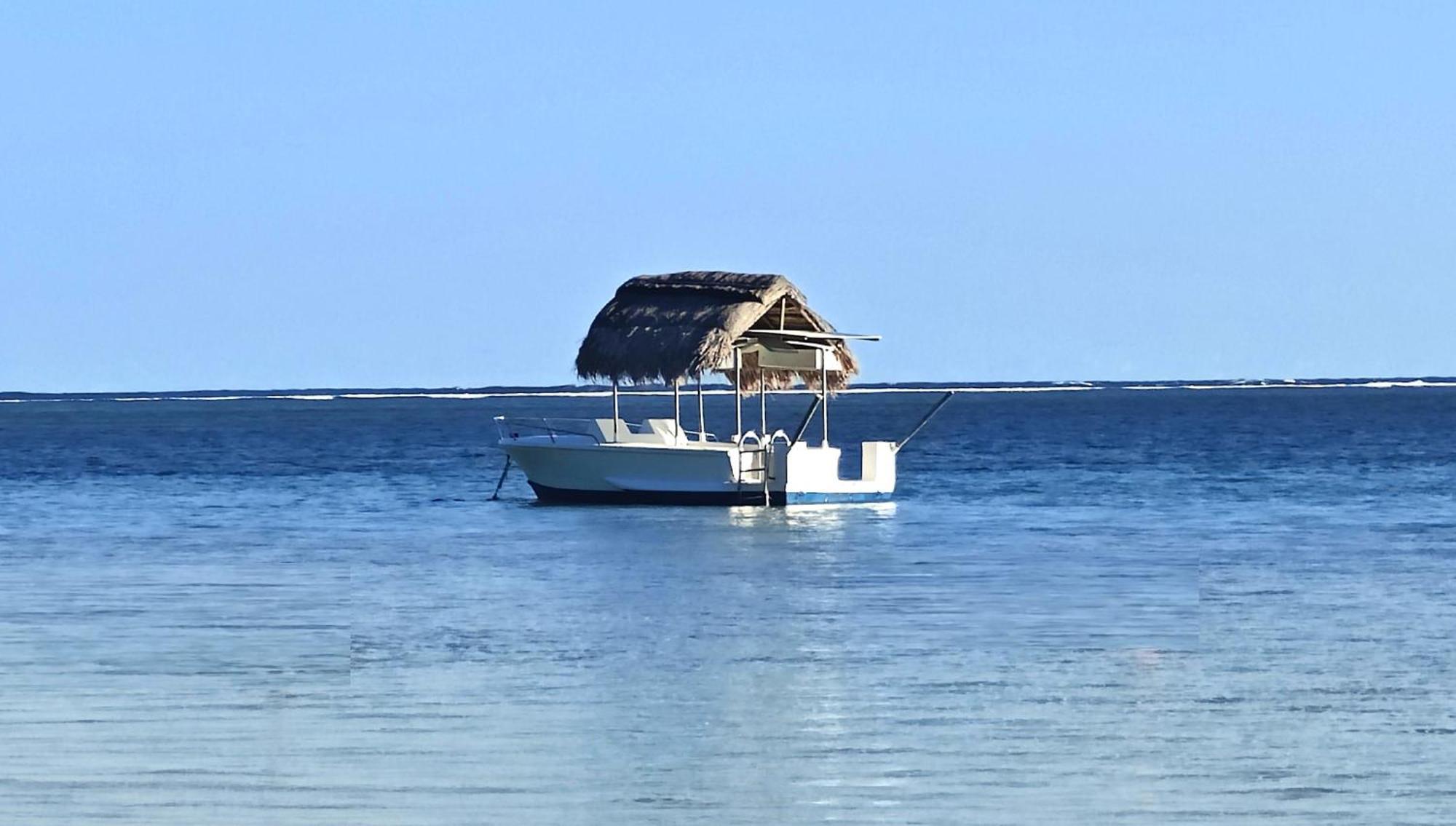 Apartment La Nuit Etoilee,evasion Tropicale Et Aventure Au Morne Brabant,escalade,plage Et Sports Nautiques